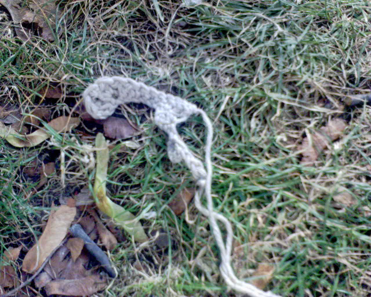 Cours de crochet