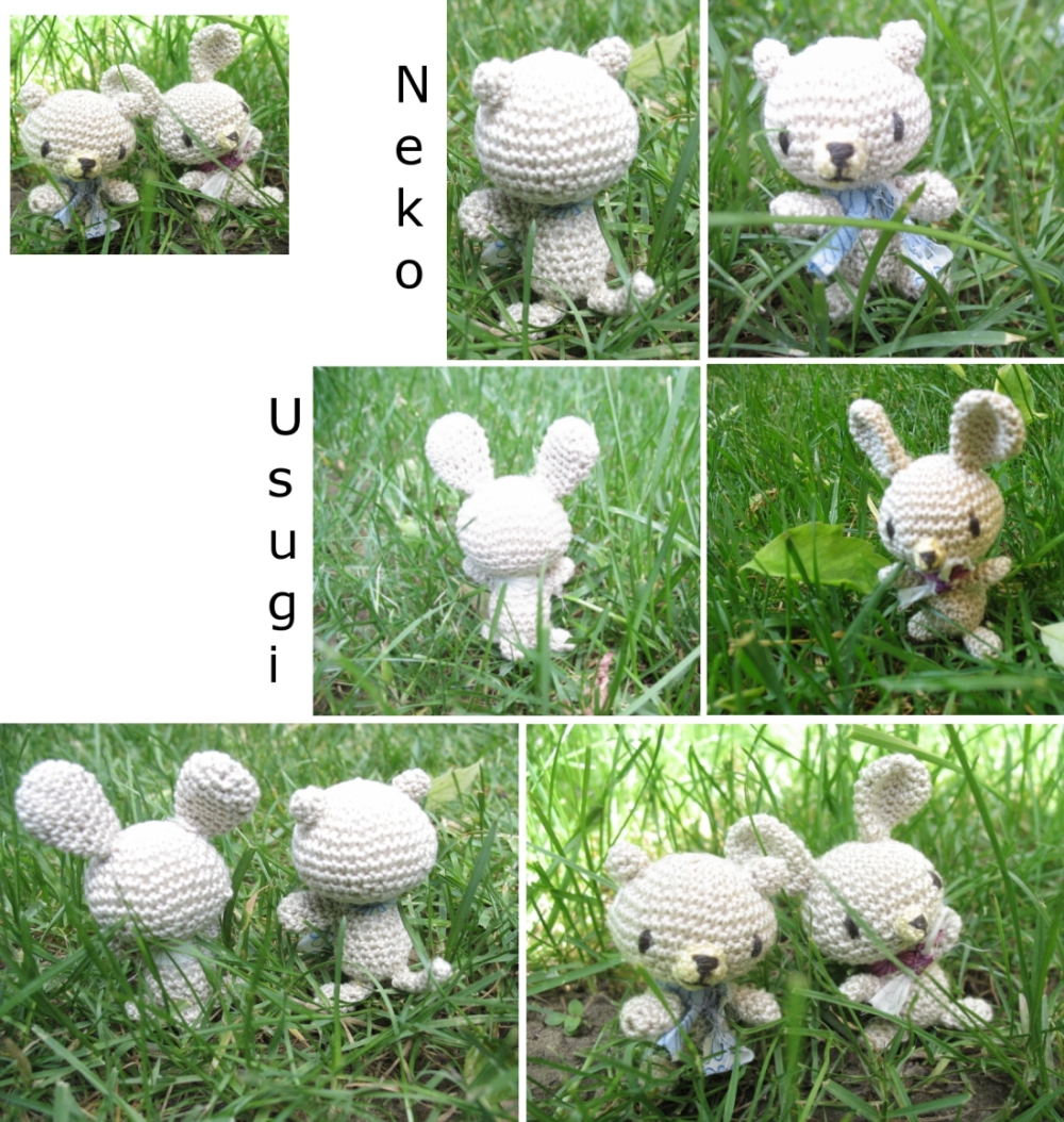 Neko Usugi